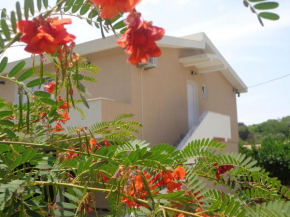 Отель Apartments Pepdjonovic  Улцинь